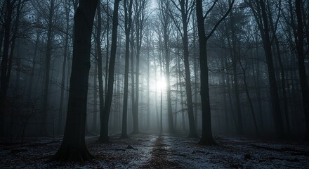 Obraz premium Ethereal Light Breaking Through Foggy Forest Canopy Creating a Mystical Atmosphere Perfect for Fantasy Landscapes and Atmospheric Photography with Bare Trees