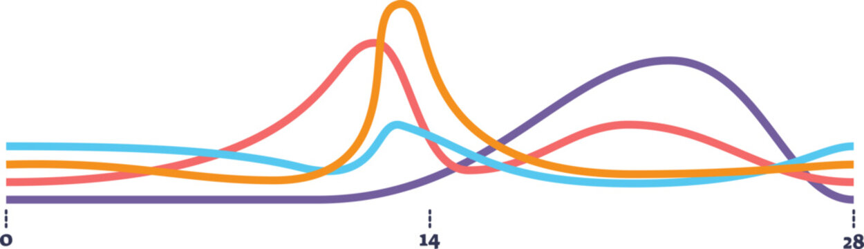A graph showing hormonal fluctuations over a 28-day menstrual cycle. Colored lines represent key hormones, with peaks indicating ovulation and different cycle phases like follicular and luteal.