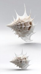 Obraz premium Detailed spiky seashell isolated