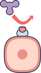 Diagram of insulin resistance. An insulin molecule is unable to bind to a faulty receptor on a cell, preventing the cell from responding to the hormone's signal for glucose uptake.