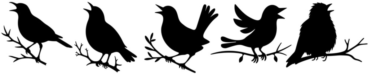 Five Singing Blackbird Silhouettes on Branches