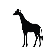 Giraffe vector silhouette