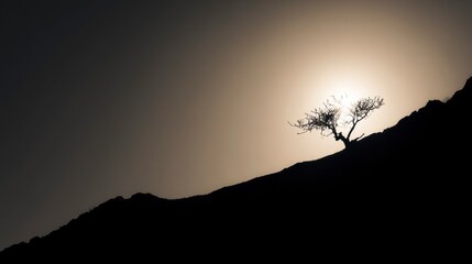 Obraz premium Lonely tree on hillside sunrise silhouette
