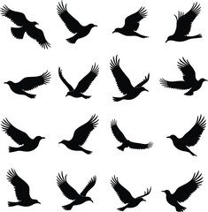 Obraz premium Twelve bird silhouettes in flight diverse poses