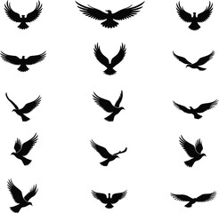 Obraz premium Collection of bird silhouettes flying in various poses