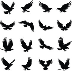 Twelve eagle silhouettes soaring flight birds of prey