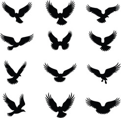 Twelve black bird silhouettes soaring in flight