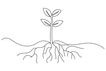Growth plants continuous one line drawing on white background