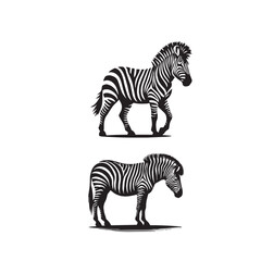 zebra sets silhouette ,zebra silhouette art , zebra setssilhouette images , zebra sets silhouette clipart , zebra silhouette png