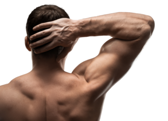 Fit Male Flexing Back Muscles on Transparent Background