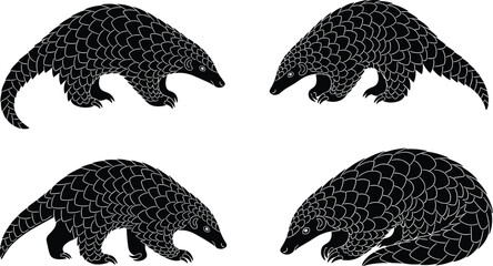 Pangolin silhouette illustrations, black and white vector, scaled mammal poses, endangered species graphic, wildlife icon, nature animal design