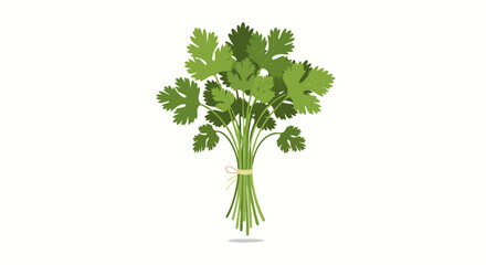 Fresh Cilantro Herb Bundle Displaying Vibrant Green Foliage and Textured Leaves for Culinary Use and Garnishing
