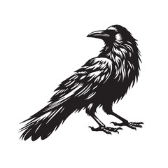crow silhouette tattoo,crow silhouette png ,crow silhouette flying ,crow silhouette images