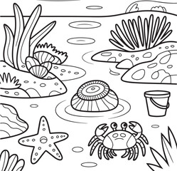 Fototapeta premium Cartoon crab starfish shells seaweed bucket under the sea seashells