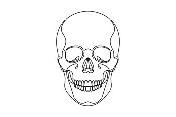Simple Continuous Line Drawing of a Human Skull