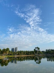 Calm Morning Lake with Palm Trees and Skyline Reflection