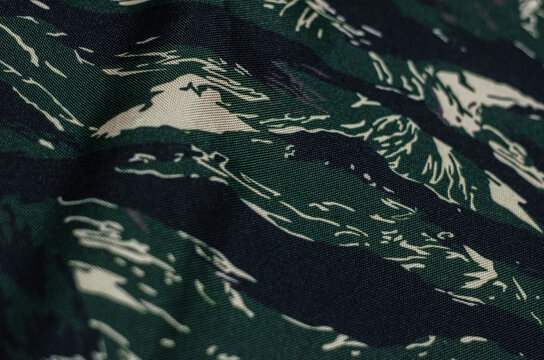 Close Up of Tigerstripe Camouflage Textile Material