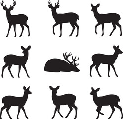 Obraz premium Deer silhouettes standing walking resting stag fawn
