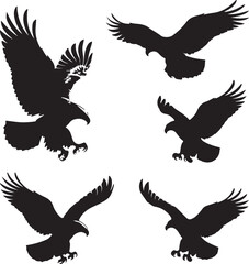 Five black eagle silhouettes in flight bird flying
