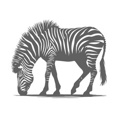 Stylized Silhouette of a Grazing Zebra.