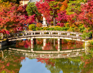 Fototapeta premium Bridge in Eikando temple gardens in autumn, Kyoto, Japan