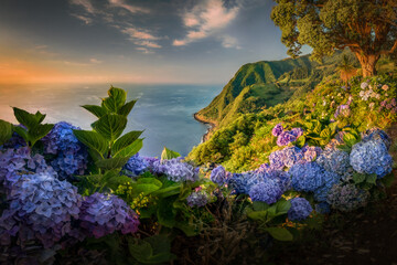 Miradouro da Ponta do Sossego garden in sunrise light on Sao Miguel island. Beautiful landscape...
