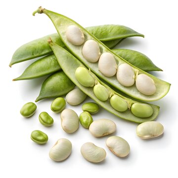 Carolina Sieva Lima Bean Elegant Light Green Pods with Smooth Creamy Seeds on Pure White Background, Minimal Still Life Highlighting the Classic Heirloom Beauty of Nutritious Vegetable