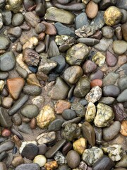 Close-up of wet multicolored river stones and pebbles scattered on sandy ground, showcasing smooth textures and natural variations.