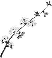 A Cherry Branch with Blossoms and Fruit