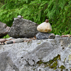 Stones covered with moss in a spruce forest
