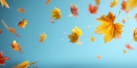 Obraz premium Abstract autumn background with falling leaves on bright surface