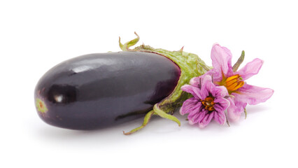 Eggplant fruit with flower isolated