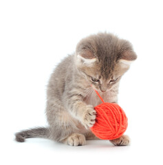 Little kitten playing with a ball of yarn.