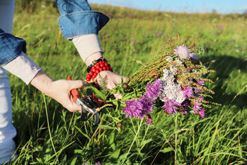 Florist at work: A woman shows how to collect flowers from a mountain meadow in order to dry them later. Step by step, tutorial.