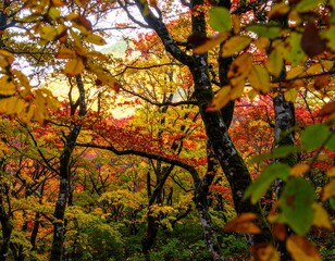 Generated image Fall colors