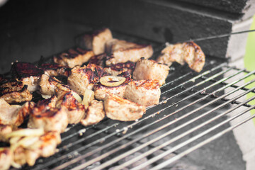 Grilled meat skewers with spices and herbs are sizzling on a barbecue grill, showcasing delicious food preparation and outdoor cooking experience with vibrant colors