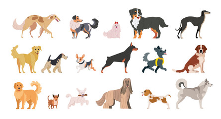 Cute dogs doodle vector set. Dogs of different breeds. Canine animals pets. 
