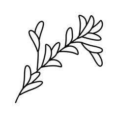 herb sprig sustainable beauty line icon vector illustration