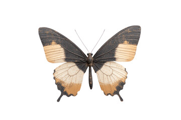 Obraz premium Graceful Butterfly: Witness the exquisite detail of a butterfly, its wings elegantly displayed. Its unique pattern showcases the wonder of nature, perfectly captured with high-definition precision.