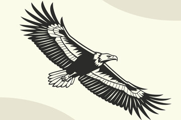 Majestic bald eagle soaring with wings spread, isolated on white background