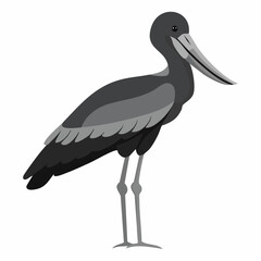 Shoebill Stork Standing. Black and white Shoebill Stork Standing image vector on white background.