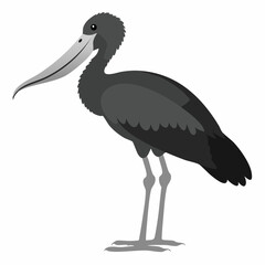 Shoebill Stork Standing. Black and white Shoebill Stork Standing image vector on white background.