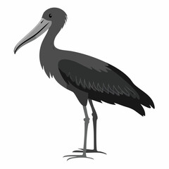 Shoebill Stork Standing. Black and white Shoebill Stork Standing image vector on white background.