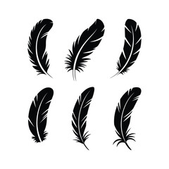 Six silhouetted black feathers displayed in a grid against a white background