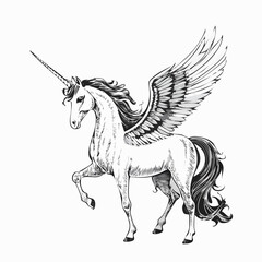 Pegasus Unicorn standing Images vector illustration isolated on white background.