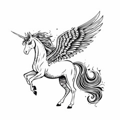 Pegasus Unicorn Images vector illustration isolated on white background.
