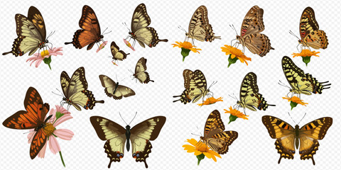 A diverse collection of illustrated butterflies in various poses, some flying and others feeding on pink and yellow flowers.