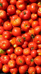 vertical vegetable background with red ripe garden tomatoes illuminated by bright sunlight covered with water drops, beautiful natural summer or autumn texture in red color