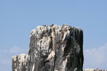 White topped coastal cliffs background