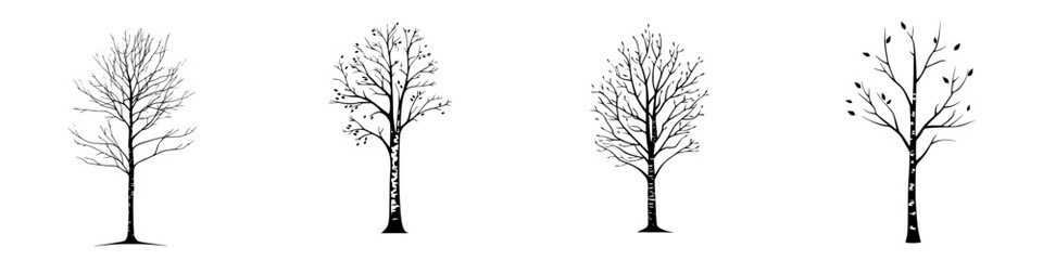 Four seasons represented by trees showcasing their transformations through winter, spring, summer, and autumn stages